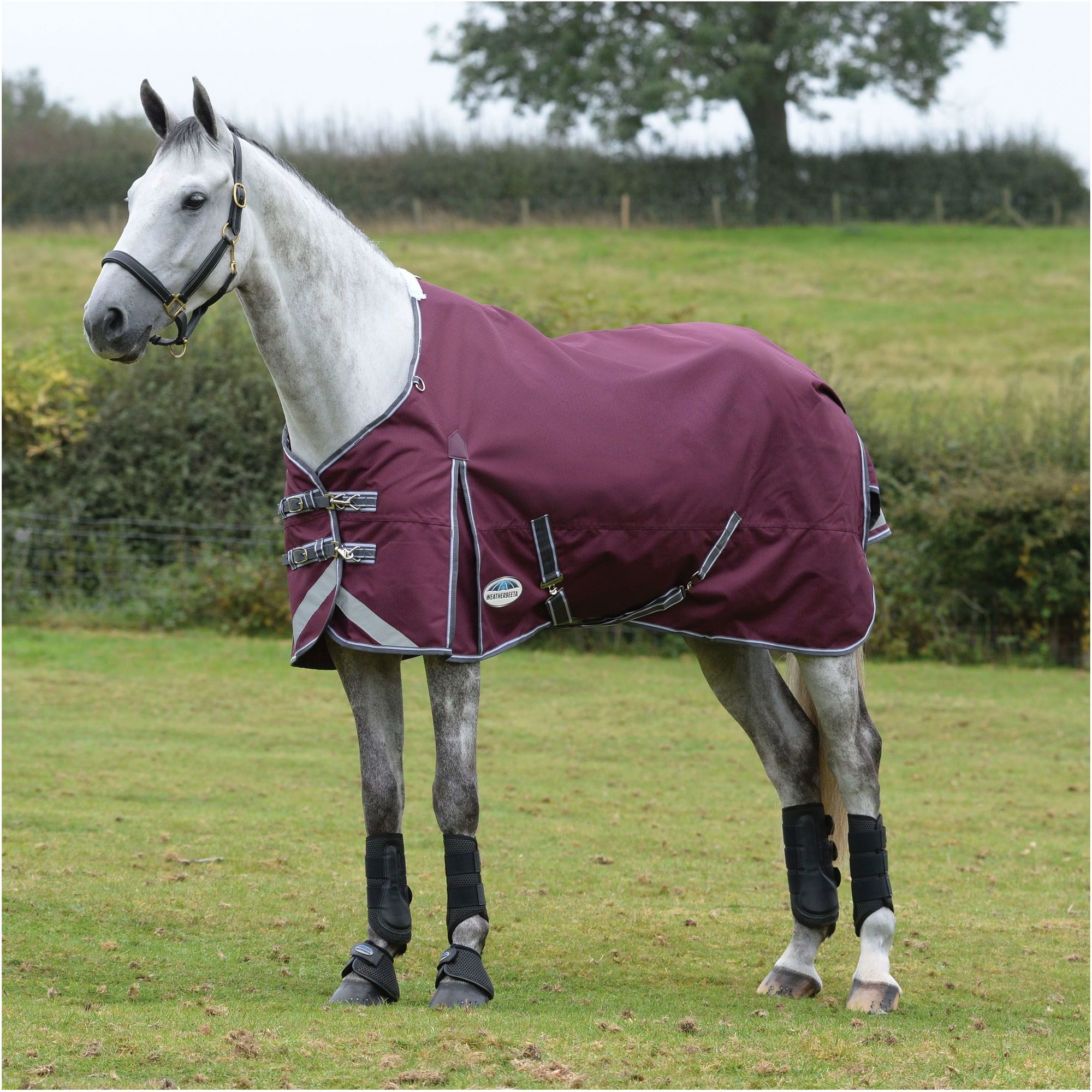 Weatherbeeta Comfitec Plus Dynamic II Lite Standard Neck Rug - Maroon